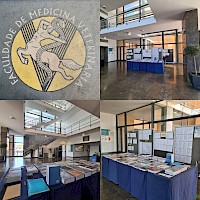 Exposição Temporária na Faculdade de Medicina Veterinária (FMV U Lisboa)