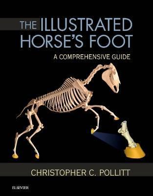 The Illustrated Horse's Foot : A comprehensive guide
