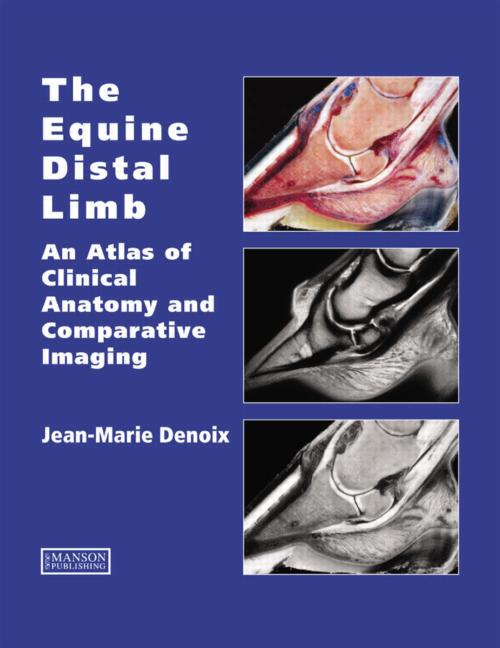 The Equine Distal Limb: An Atlas of Clinical Anatomy and Comparative Imaging, 1st Edition
