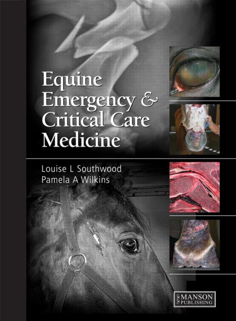 Equine Emergency and Critical Care Medicine 1st Edition