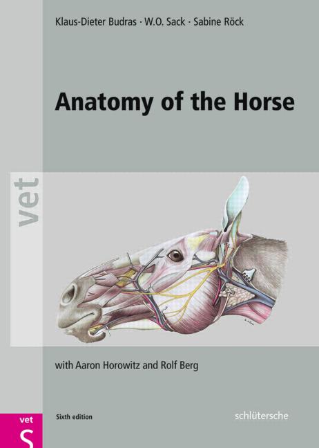 Anatomy of the Horse, 6th Edition