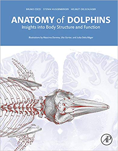 Anatomy of Dolphins, 1st Edition Insights into Body Structure and Function