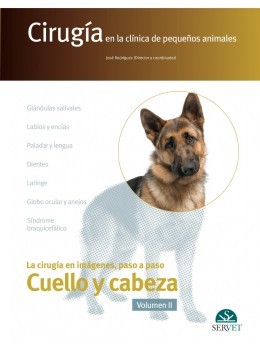 Cirugía en la clínica de pequeños animales. Cabeza y cuello, Volumen II