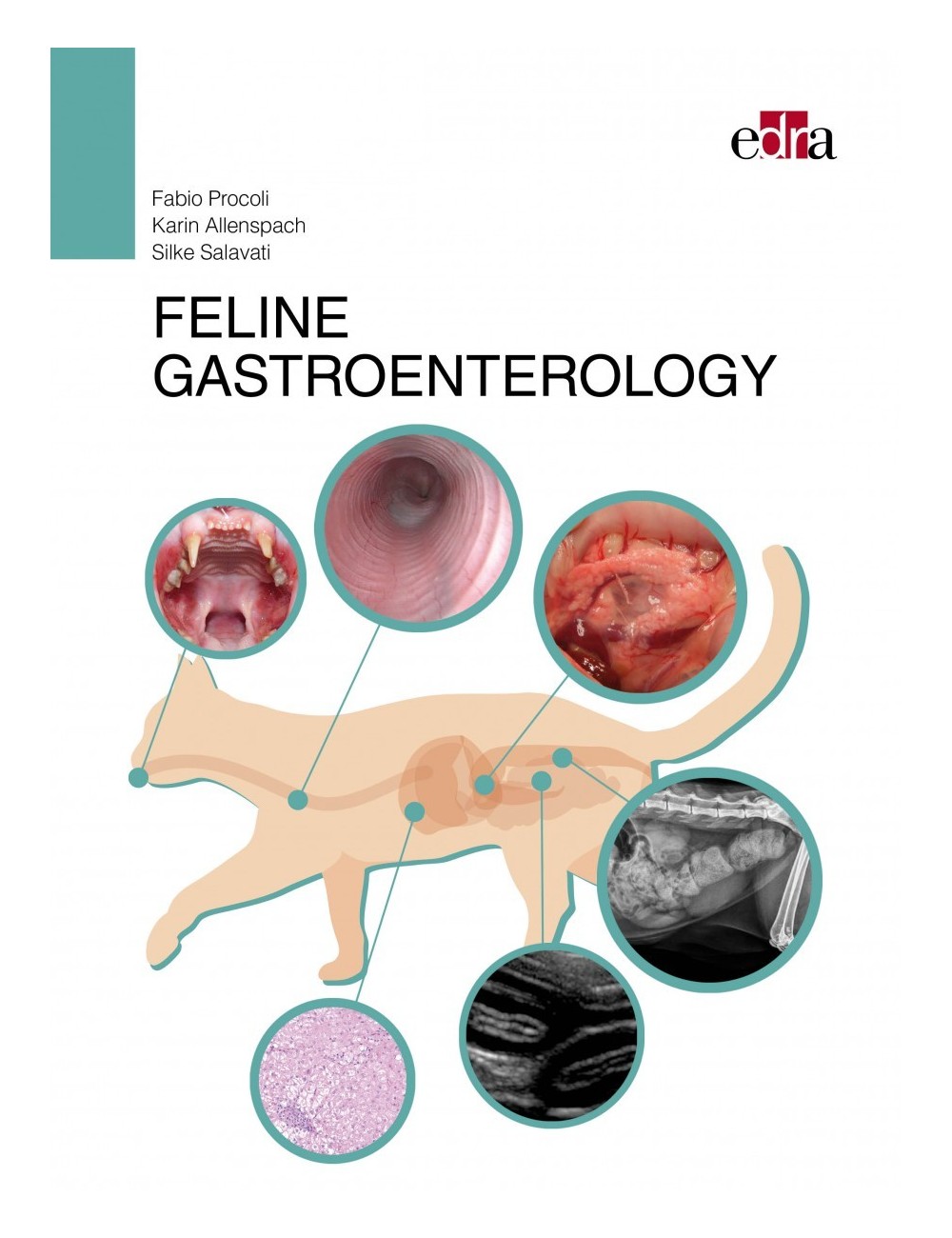 Feline gastroenterology