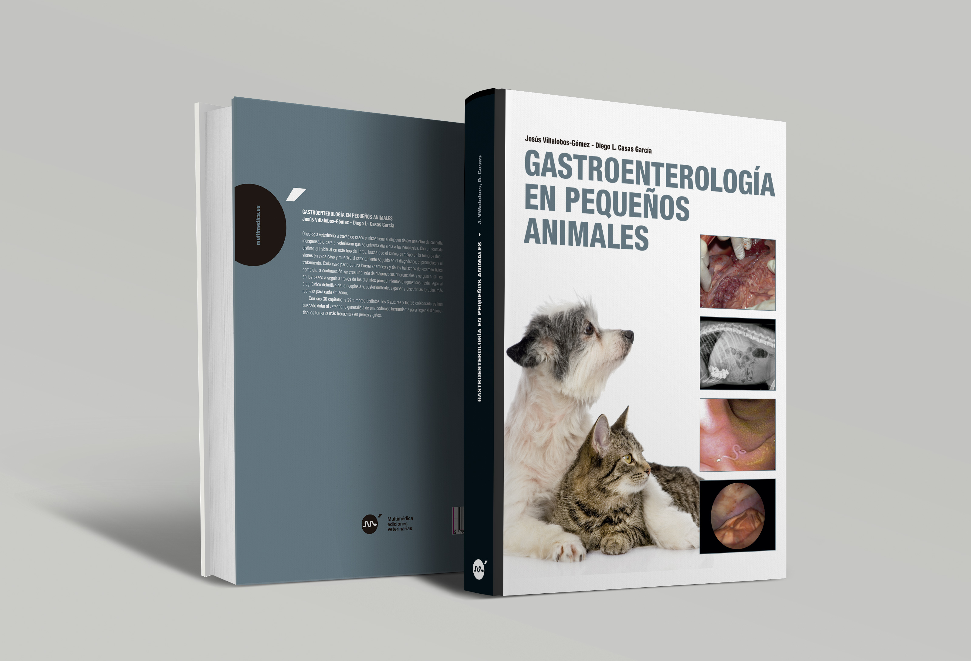 Gastroenterología en Pequeños Animales