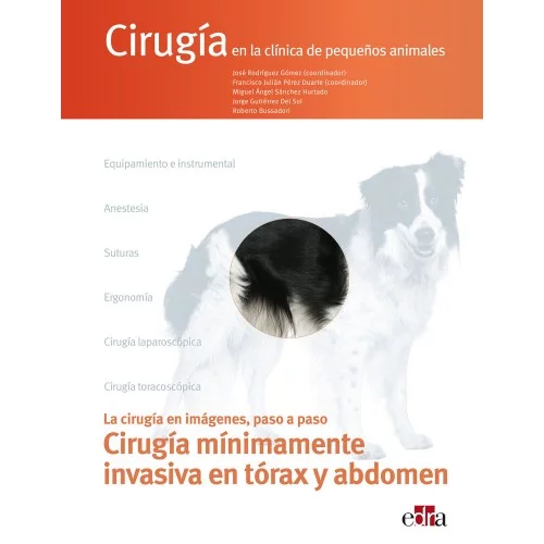Cirugía en la clínica de pequeños animales. Cirugía mínimamente invasiva en tórax y abdomen