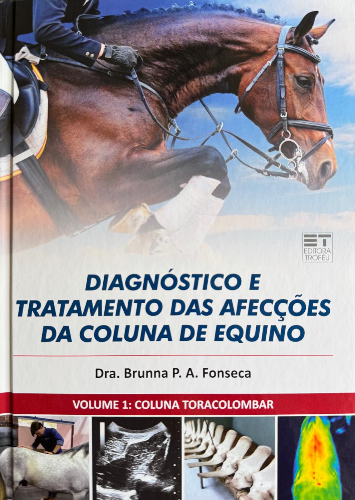 Diagnóstico e Tratamento das Afecções da Coluna de Equino