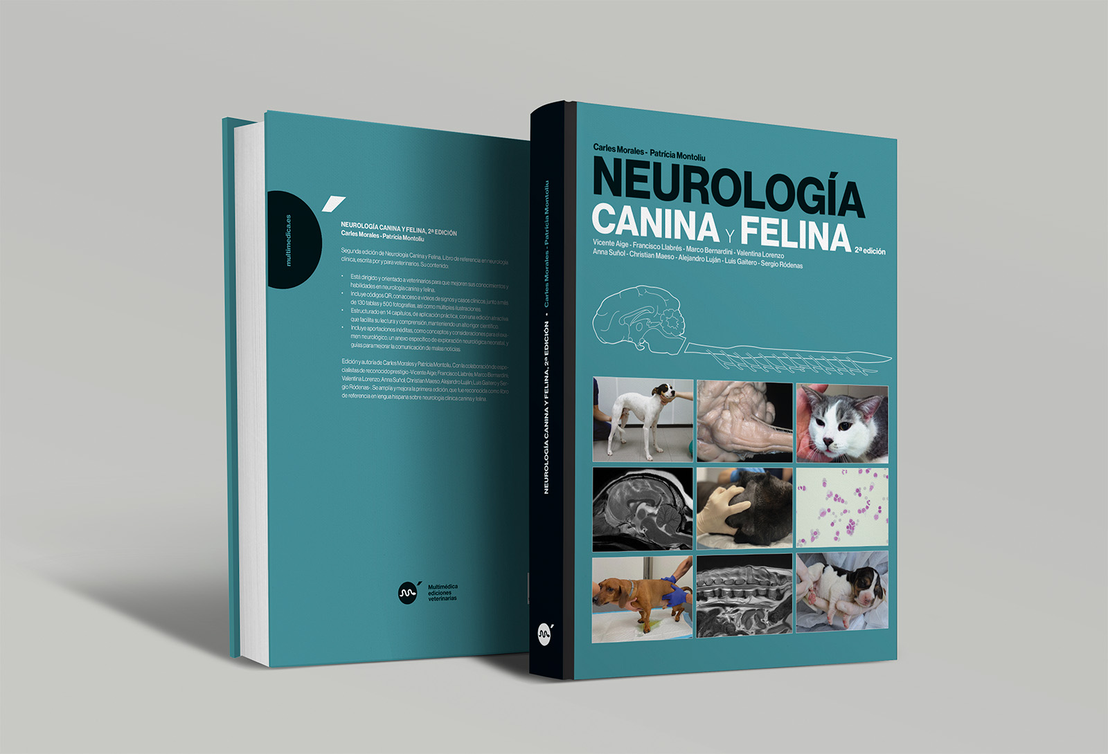 Neurología canina y felina, 2ª edicíon