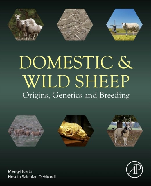 Domestic and Wild Sheep Origins, Genetics and Breeding